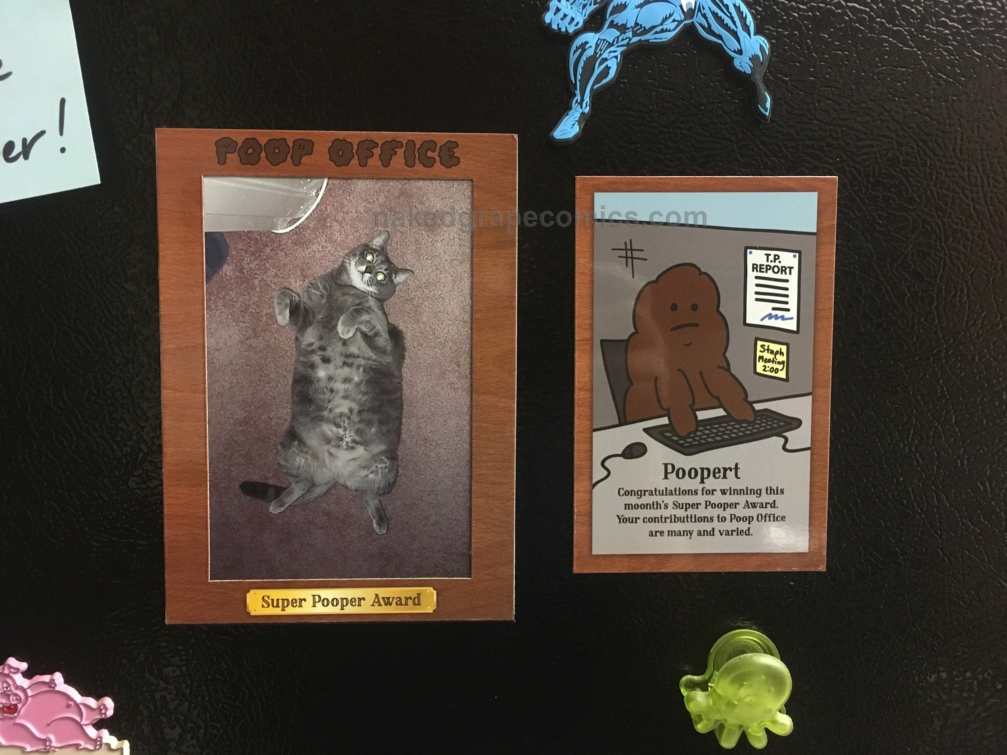 Super Pooper Award - Magnetic Photo Frame